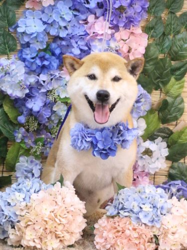 20250626ススムくん